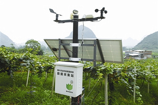 罗城猕猴桃基地安装溯源系统 能自动采集生长环境数据
