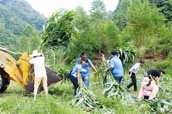 “粮改饲”促农户增收