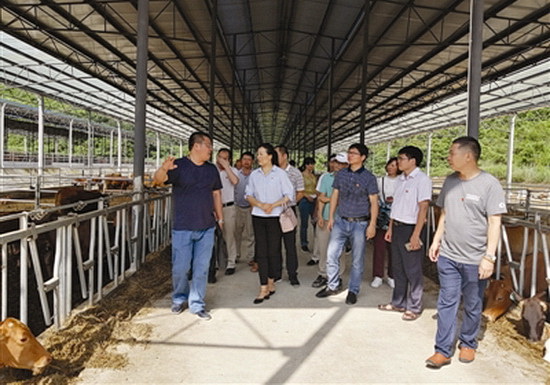 都阳镇组织35名党员干部外出学习产业扶贫先进经验