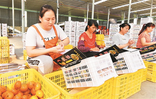 德胜镇引进企业开建果业“扶贫车间”方便当地农民就业