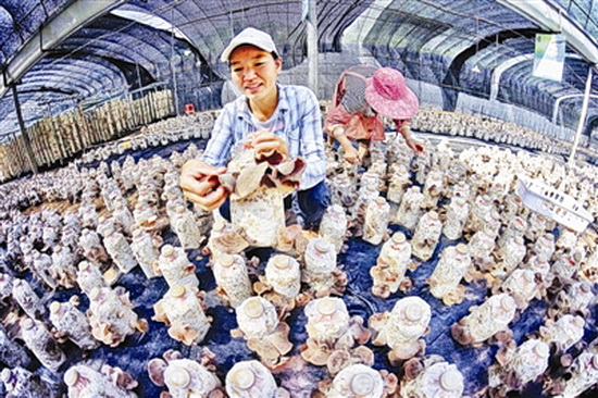 发展现代农业 加快增收步伐