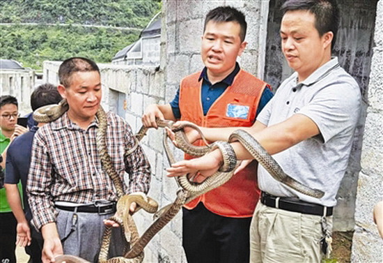 发展特色产业 助力脱贫攻坚