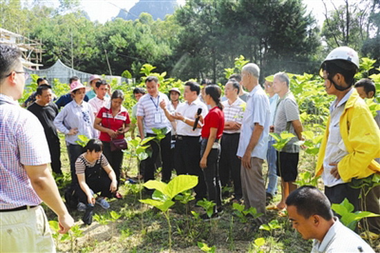 大化举办产业技术培训 助力贫困户增收脱贫