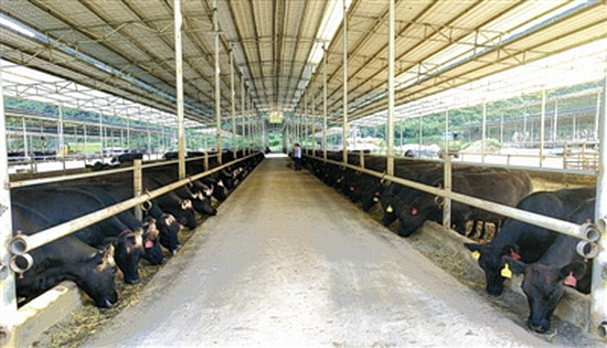 总书记“出题” 大瑶山“答卷”