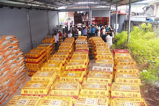 66户贫困户喜领鸡苗上万羽