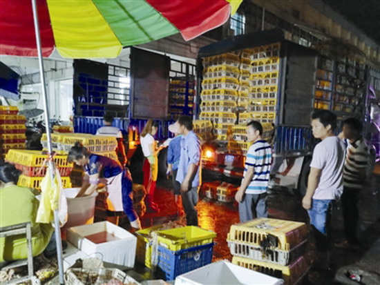 七百弄鸡畅销 喜获百万订单