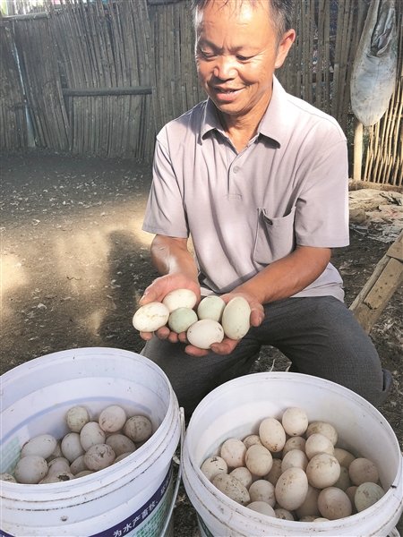 “鸭司令”带领村民走上致富路