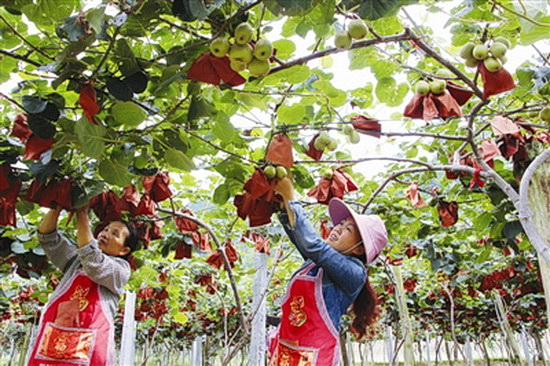 河池：脱贫攻坚，搬走“贫困”这座大山