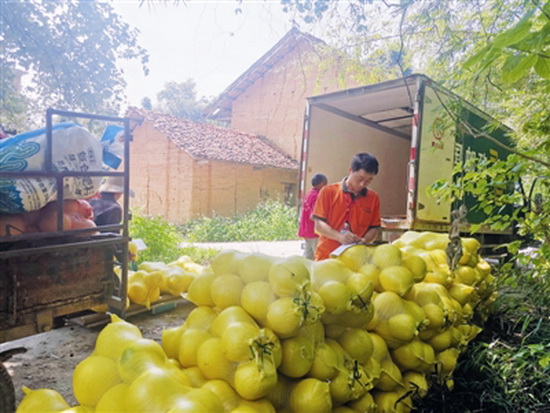 拓宽销售渠道 促进农民增收