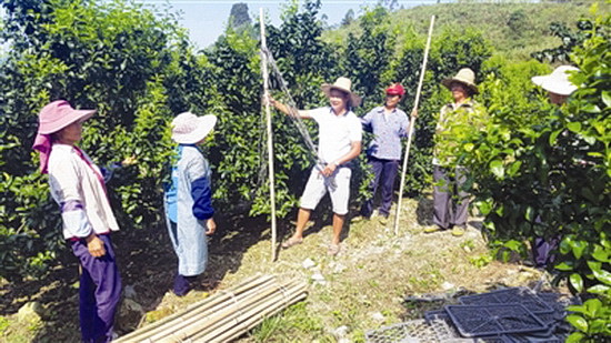 荒草地变成群众的“钱袋子”