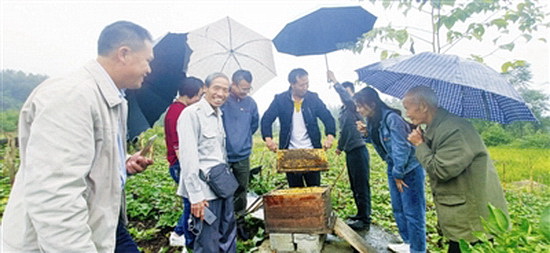 环江公路管理局：以脱贫攻坚实绩践行党员初心使命