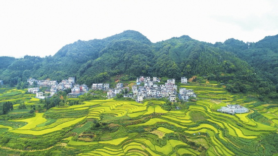 南网帮扶东兰脱贫攻坚纪实:攻城拔寨 最后冲锋