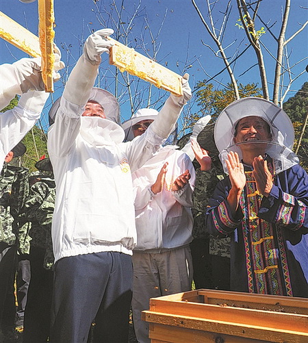 都安：带动群众发展养蜂产业 已建成23个养蜂场