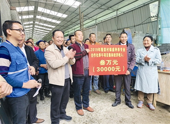 喜分红利增收入