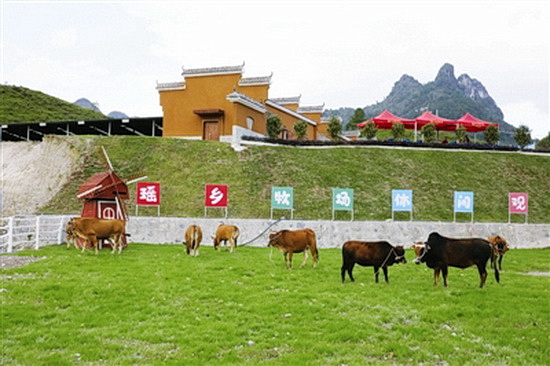 瑶乡牛产业核心示范区今年预计带动2285户贫困户脱贫