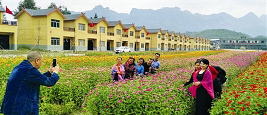 农牧花田花盛开 吸引八方游客来