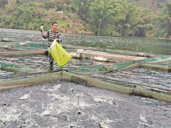 库区失地农民成立渔业养殖合作社 收益“一举两得”