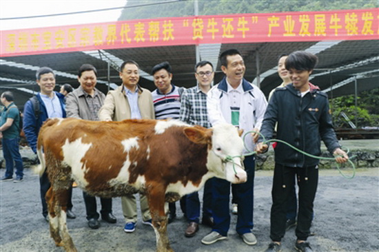 “安安”心连心 共圆小康梦