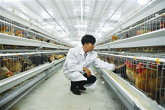 大化：决胜脱贫攻坚 建设幸福家园