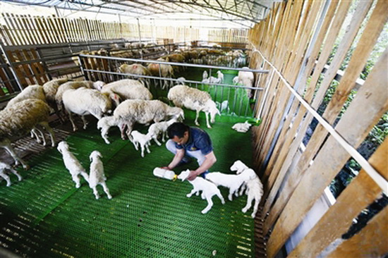 大化：决胜脱贫攻坚 建设幸福家园