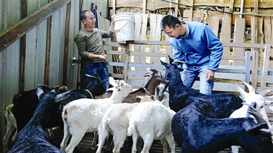 沈彦东：不忘初心，助力乡村振兴的追梦人