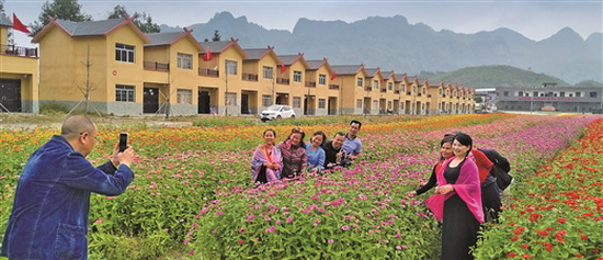 安置区种花海带动农牧产业和乡村旅游业发展