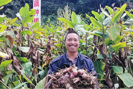 河池：做强产业筑实脱贫根基