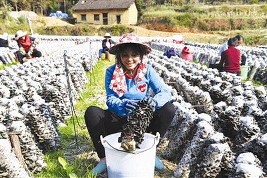 冬田不闲助增收