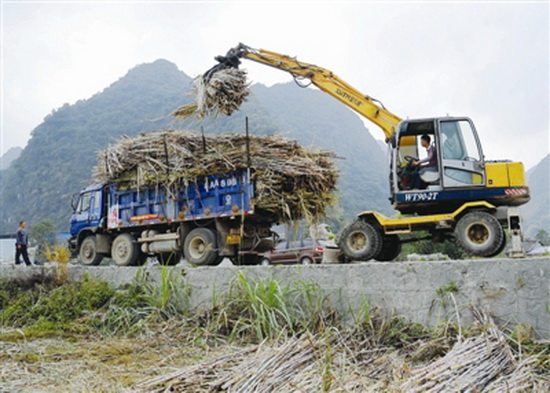 高岭镇：“甜蜜事业” 助农增收