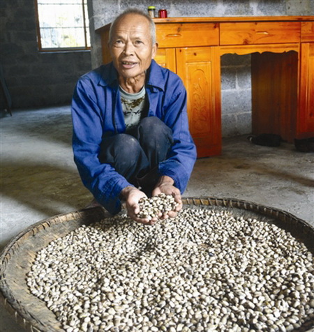 燕洞镇同合村以脱贫“短项目”养“长”产业获成效