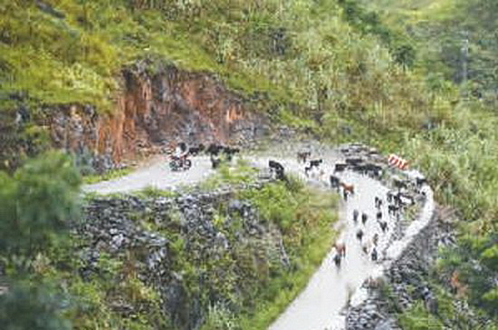 大化：荒山秃岭变身生态家园