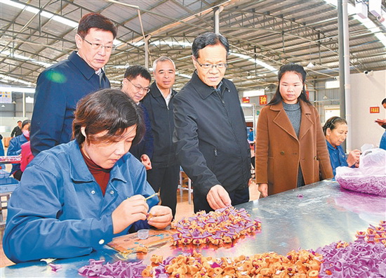 陈武：以过硬举措确保脱贫攻坚圆满收官