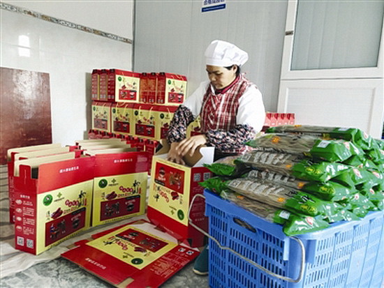 红薯粉丝托起致富梦想