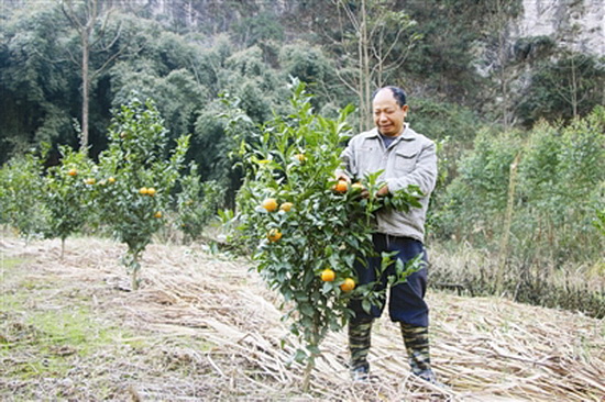 周耀进：从贫困户到种养能手