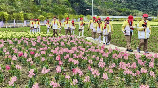 聚焦脱贫攻坚 感受山乡巨变