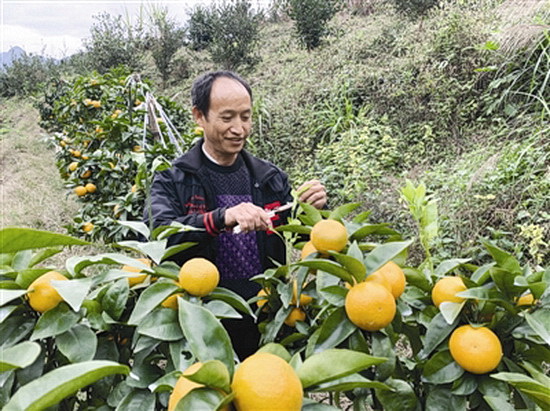 廖天春:从贫困户到致富好榜样