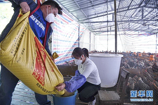 疫情下七百弄山区见闻:“脱贫攻坚一刻不能松劲”