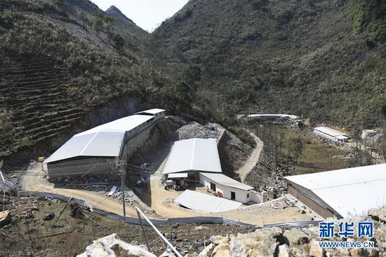 疫情下七百弄山区见闻:“脱贫攻坚一刻不能松劲”