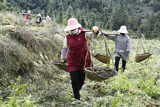 贫困群众防疫务工两不误
