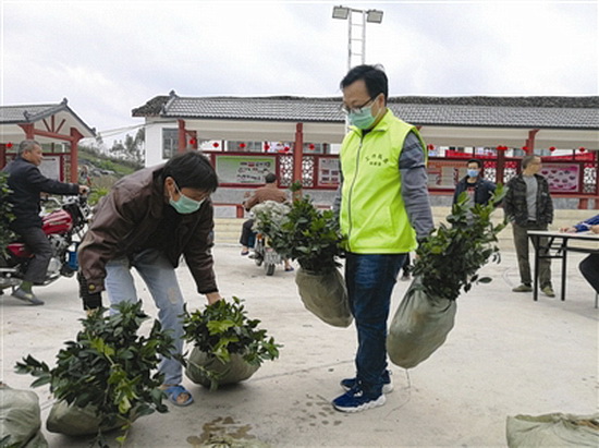 喜领“扶贫苗”