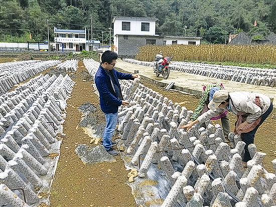 都安“：防疫和生产齐头并进