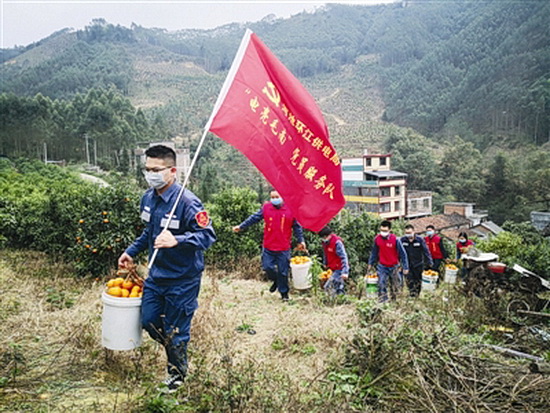 环江供电局：主动内购滞销水果 为脱贫攻坚解难题