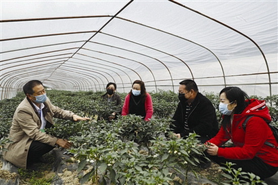 疫情下稳住“菜篮子”