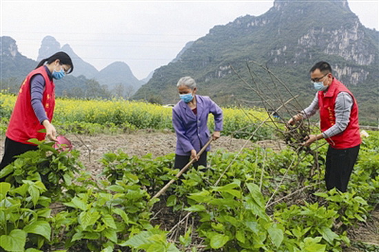 环江成立党群服务队助力春耕生产