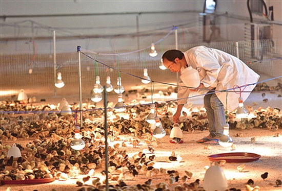 大化:千山万弄间 瑶乡换新颜