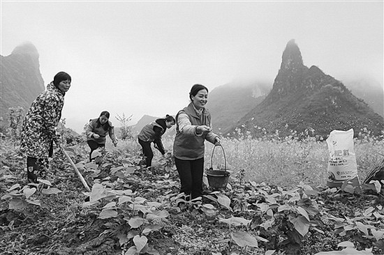 环江巾帼志愿者帮助贫困户加紧春耕生产