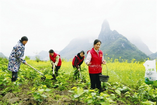 巾帼志愿者 助春耕过节日