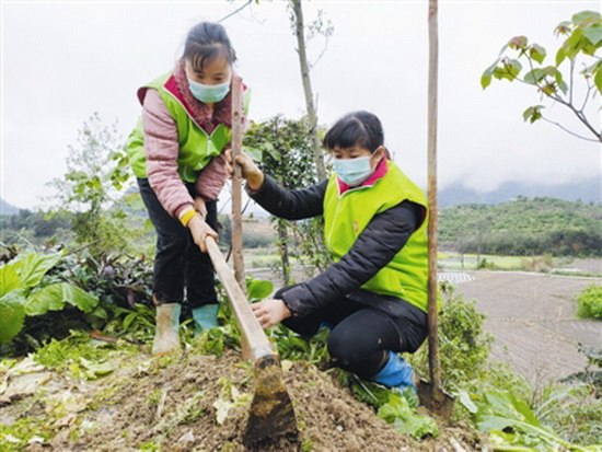 环保妈妈义务植树 扮靓家园助力产业扶贫