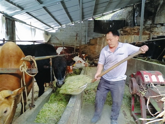 疫魔难不倒“牛司令”