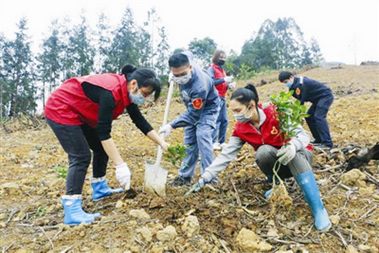 志愿者帮贫困户种果树